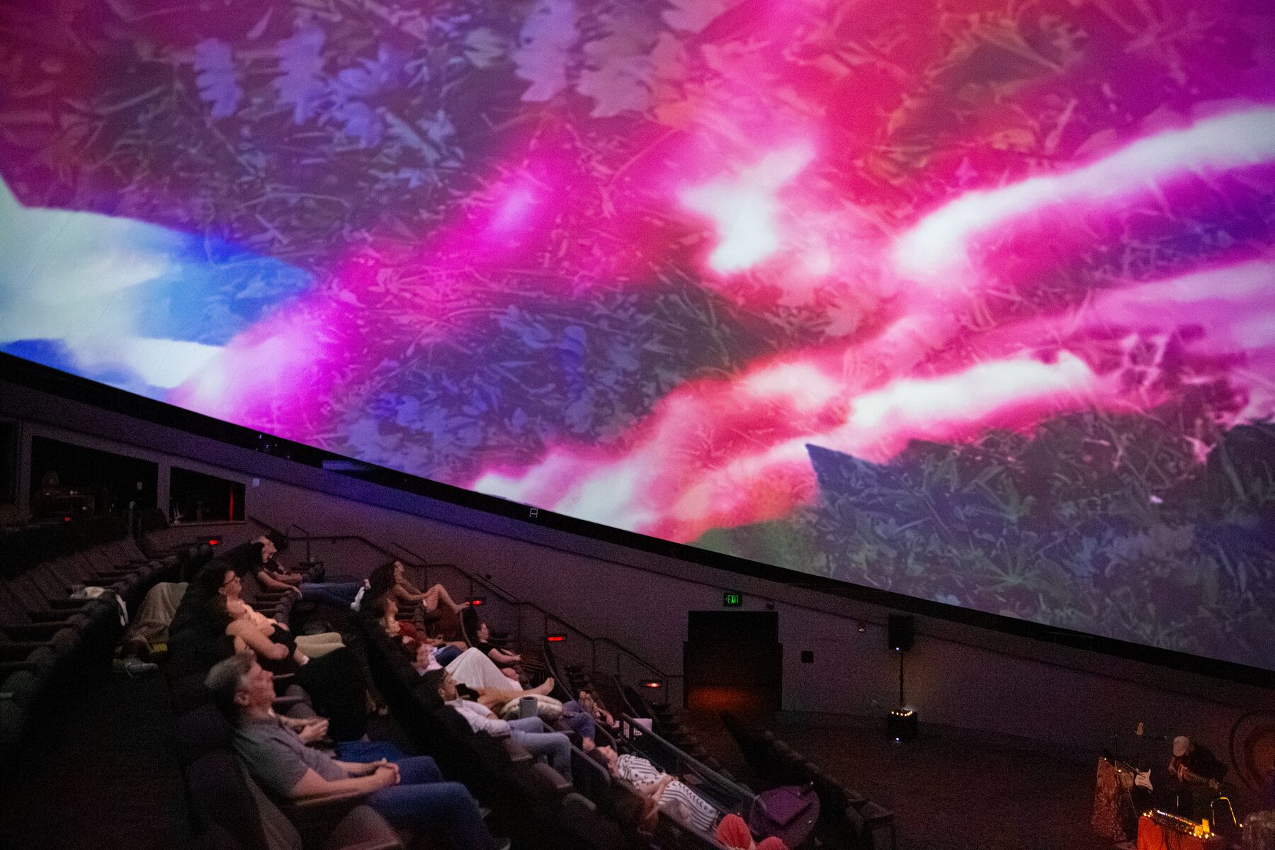 The audience reclines beneath magenta streaks of light flowing across a forest canopy on the dome