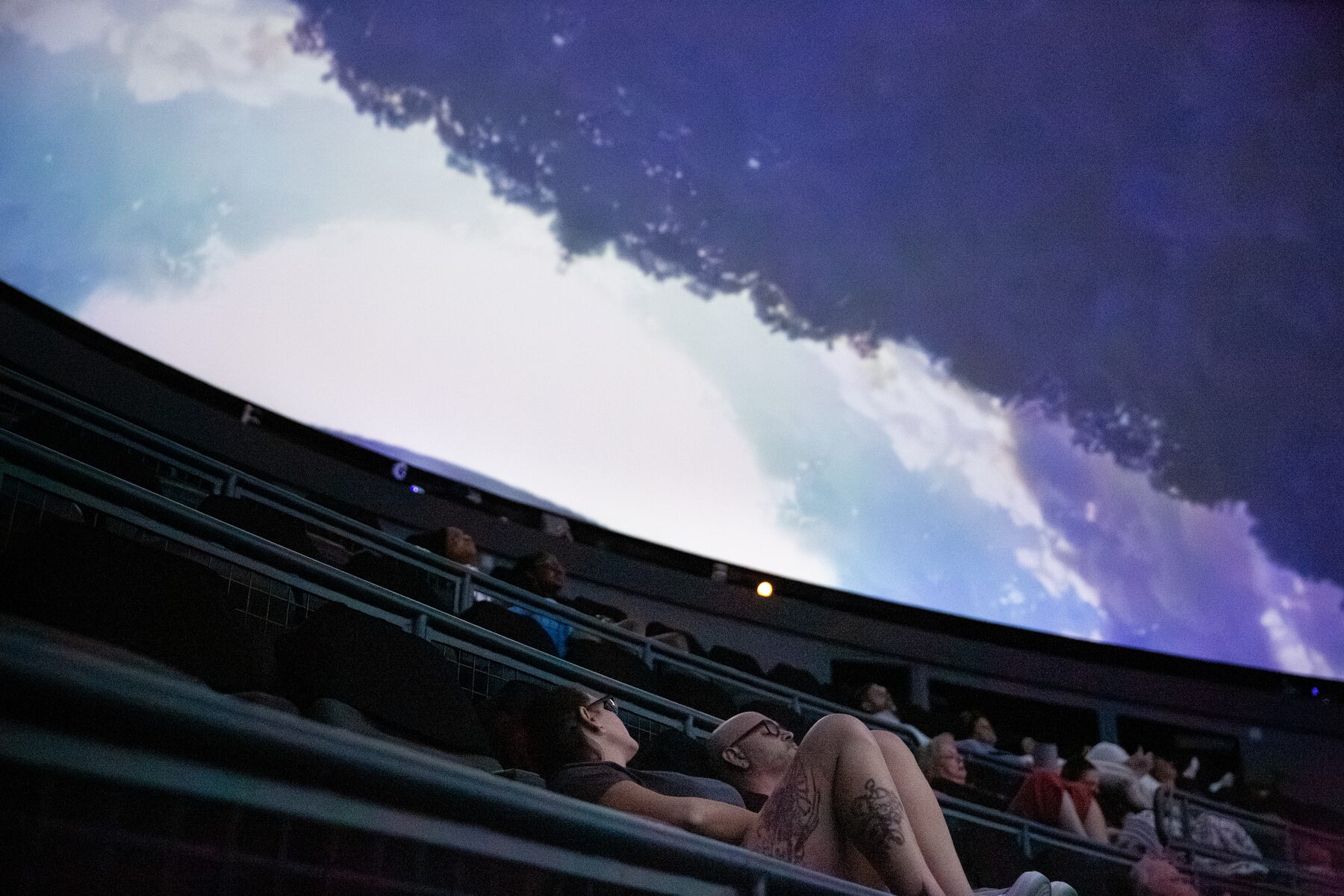 Guests lie back in their seats gazing up at treetops and bright clouds projected overhead